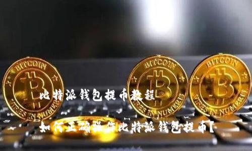 比特派钱包提币教程

如何正确操作比特派钱包提币？