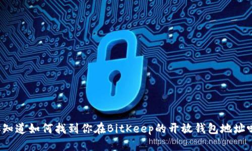 你知道如何找到你在BitKeep的开放钱包地址吗？