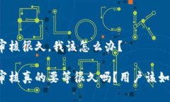 比特派审核很久，我该怎么办？比特派审核真的