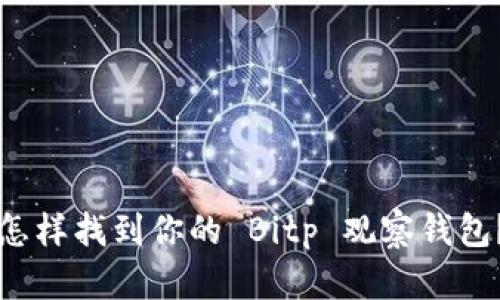 怎样找到你的 Bitp 观察钱包？