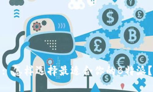 : 怎样选择最适合你的B特派？