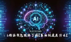 : b特派钱包跑路了吗？真相到底是什么？