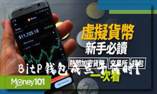 BitP钱包成立于何时？