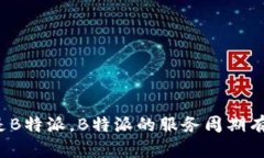 什么是B特派，B特派的服务周期有多长？