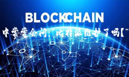 比特派（Bitpie）是一款广泛使用的数字资产钱包，尤其受到加密货币爱好者的喜爱。然而，很多用户在使用这款钱包的过程中常常会问：“比特派维护了吗？”那么，这背后到底藏着哪些信息呢？接下来，我将为您详细解析比特派的维护情况、用户关注的原因以及如何保持资产安全。

比特派最近有没有进行维护？用户需要关注哪些问题？