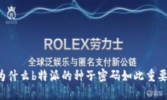 为什么b特派的种子密码如此重要？