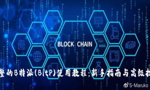完整的B特派(BitP)使用教程：新手指南与高级技巧