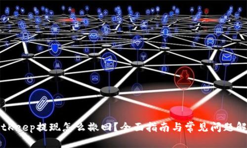 BitKeep提现怎么撤回？全面指南与常见问题解答
