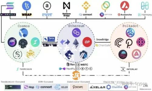 思考一个符合大众和  
5个相关的关键词  

BitKeep钱包版本详解：哪个适合你？