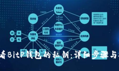 如何查看BitP钱包的私钥：详细步骤与安全须知