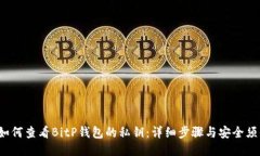  如何查看BitP钱包的私钥：详细步骤与安全须知