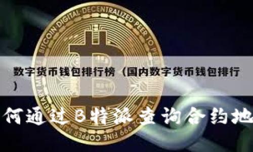 如何通过B特派查询合约地址