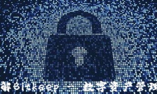 
深入了解Bitkeep - 数字资产管理的未来