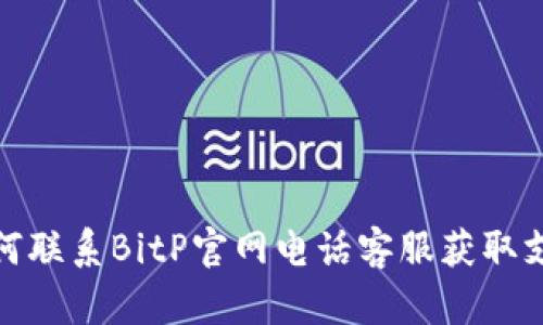 如何联系BitP官网电话客服获取支持