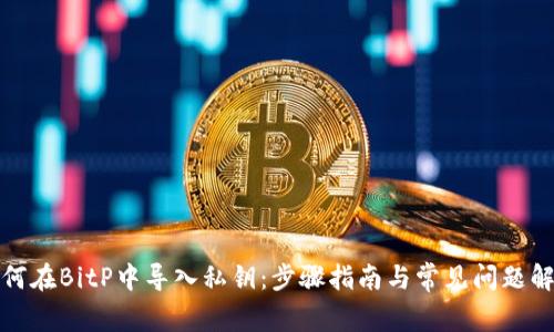 如何在BitP中导入私钥：步骤指南与常见问题解答