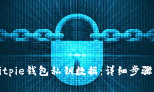 如何导出Bitpie钱包私钥数据：详细步骤与注意事项