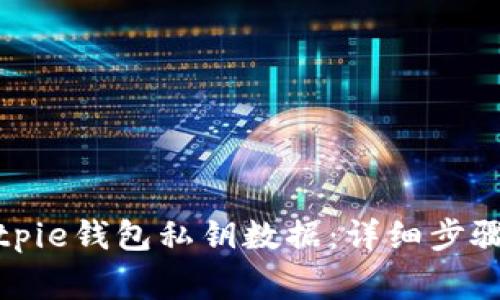 如何导出Bitpie钱包私钥数据：详细步骤与注意事项
