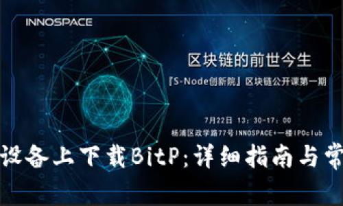如何在安卓设备上下载BitP：详细指南与常见问题解答