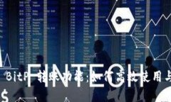 全面解析 BitP 转账功能：如何高效使用与安全交