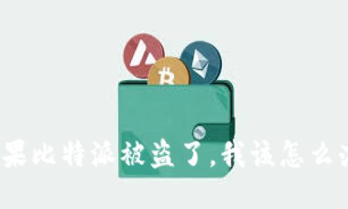 如果比特派被盗了，我该怎么办？