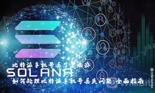 比特派手机号丢了怎么办

如何处理比特派手机号丢失问题：全面指南