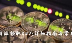 如何在比特派领取BSV：详细指南与常见问题解答