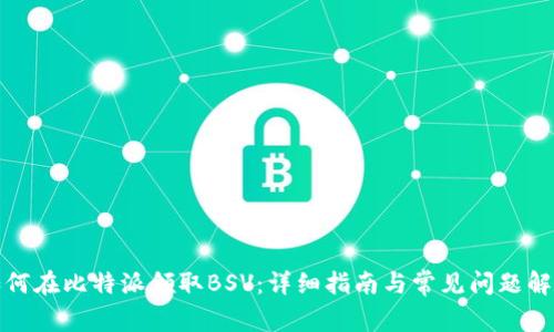 如何在比特派领取BSV：详细指南与常见问题解答