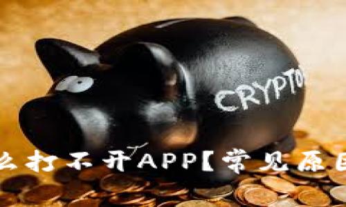 bk钱包为什么打不开APP？常见原因及解决方案