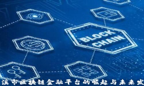 
玉溪市区块链金融平台的崛起与未来发展