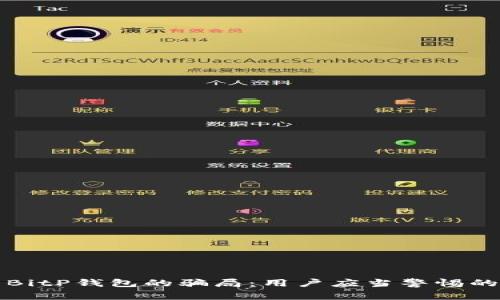 揭开BitP钱包的骗局：用户应当警惕的陷阱