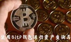  如何使用BitP钱包进行资产查询与管理