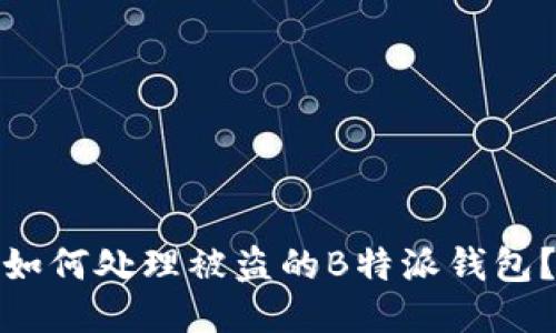 如何处理被盗的B特派钱包？