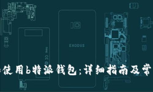 如何安装和使用b特派钱包：详细指南及常见问题解答