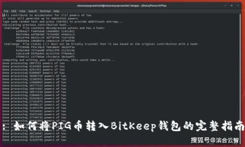 : 如何将PIG币转入BitKeep钱包的完整指南
