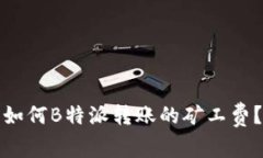 如何B特派转账的矿工费？