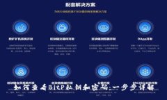 如何查看BitP私钥和密码：一步步详解