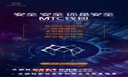 区块链金融监管的特色

: 区块链金融监管的特色与发展前景