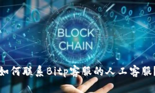 如何联系Bitp客服的人工客服？