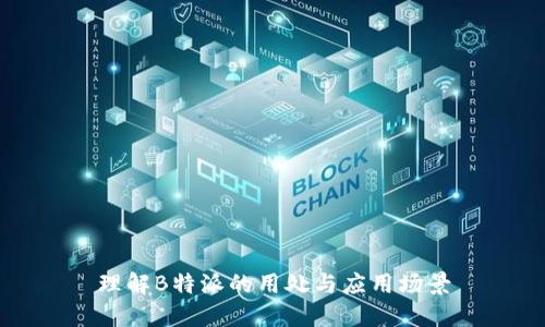 理解B特派的用处与应用场景