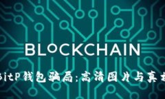 揭穿BitP钱包骗局：高清图片与真相分析