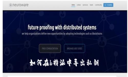 如何在b特派中导出私钥