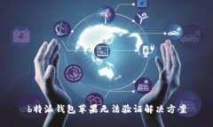 b特派钱包苹果无法验证解决方案