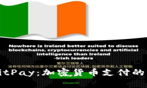 全面解析BitPay：加密货币支付的未来与挑战