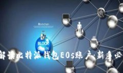  全面解读比特派钱包E0s账户：新手必看指南