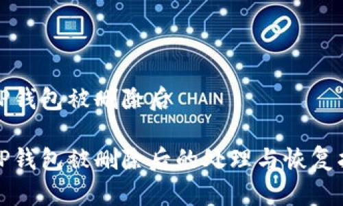 BitP钱包被删除后

BitP钱包被删除后的处理与恢复指南