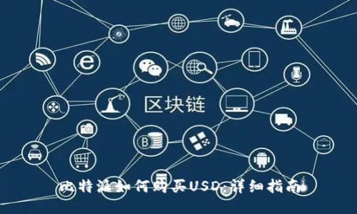 比特派如何购买USD：详细指南