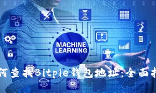 如何查找Bitpie钱包地址：全面指南
