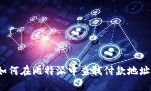 如何在比特派中查找付款地址？