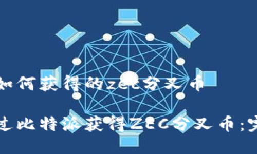 比特派如何获得的zec分叉币

如何通过比特派获得ZEC分叉币：完整指南