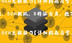 如何在B特派进行BCH充提操作？详细指南与常见问